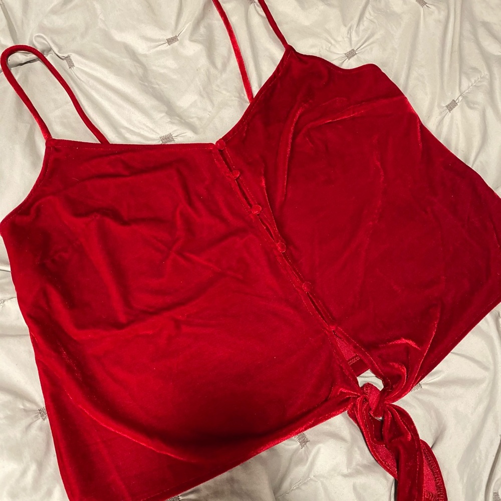 Forever 21+ Red Velvet Crop Top